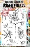 Astrantia No. 452 Tracy Evans Aall and Create A5 Stamp Set
