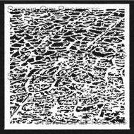 Earth Crackles 6 inch by 6 inch Stencil (S342) by Daniella Woolf for Stencil Girl