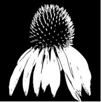 Imagination Crafts Art Stamps