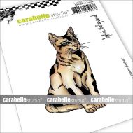 Le sourire du chat by Sylvie Belgrand for Carabelle Studio (SA70180) Cling Stamp A7