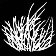 Rooted in Nature Grass Stencil (S740) designed by David Daniels for StencilGirl (6 inch by 6 inch)