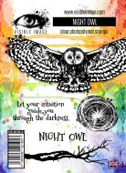 Night Owl stamp set by Visible Image (VIS-NOW-01)