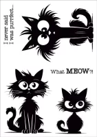 What Meow A6 polymer stamp (CS0283) by Funky Fossil Designs