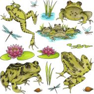 Frogs A5 stamp set (CS340D) designed by Sharon File for Hobby Art Stamps