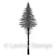 Fairy Fir Tree 2 Small (LAV492s) by Lavinia Stamps