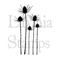 Silhouette Thistle (LAV411) by Lavinia Stamps