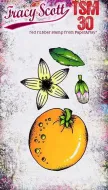 Tracy Scott Mini 30 (TSM30) PaperArtsy credit card sized cling rubber stamp
