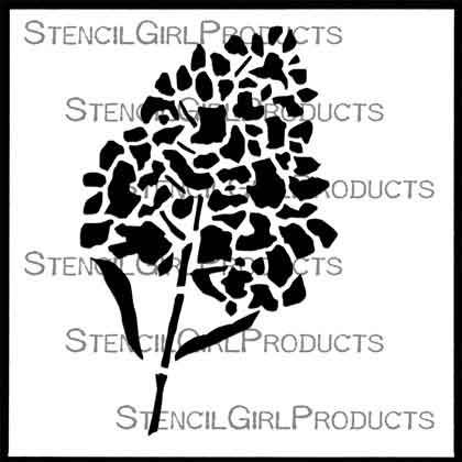 Hyacinth Stencil (S788) designed by Wendy Brightbill for StencilGirl (6 inch by 6 inch)